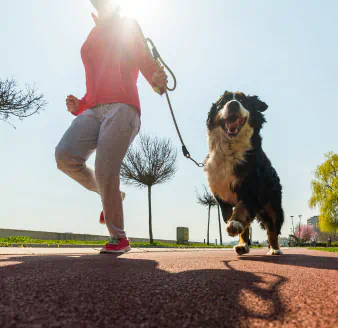 happy owner with dog