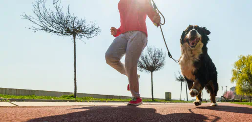 happy owner with dog