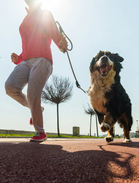 happy owner with dog