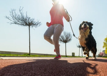 happy owner with dog