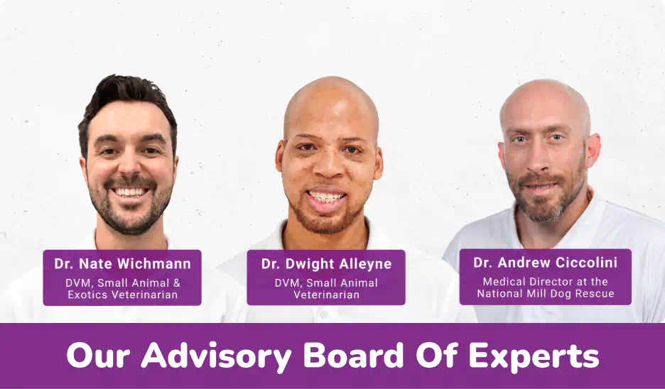 Our Experts